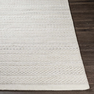 Edwardstown Flatweave Performance Rug