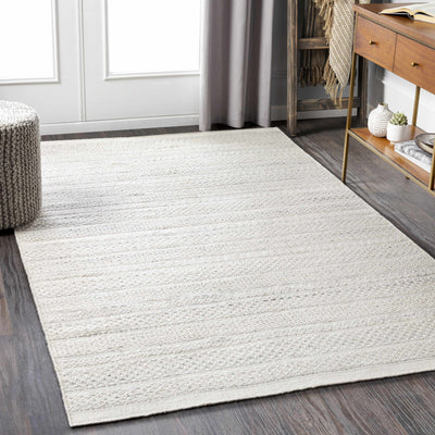 Edwardstown Flatweave Performance Rug