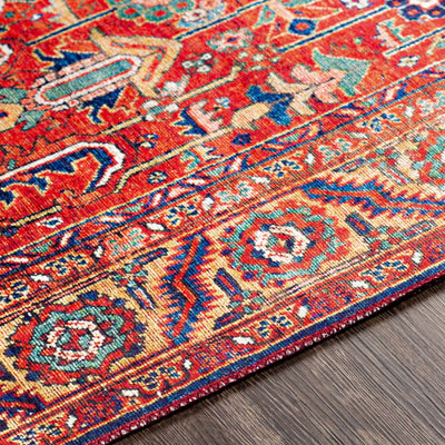 Edwardsburg Traditional Red Performance Rug