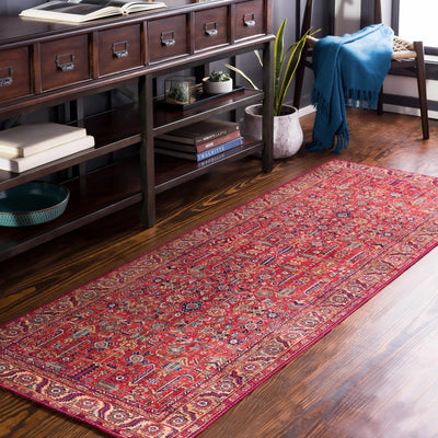 Edwardsburg Traditional Red Performance Rug