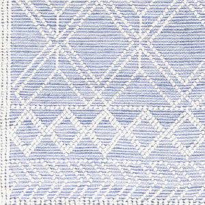 Kipp Blue Area Rug - Clearance