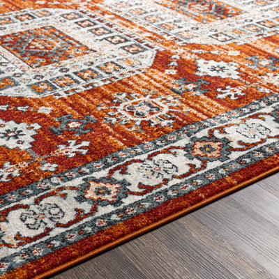 Eflani Area Rug - Clearance