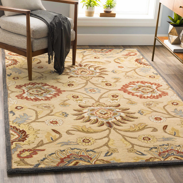 Conesus Hand Tufted Beige & Rust 1116 Area Rug - Promo