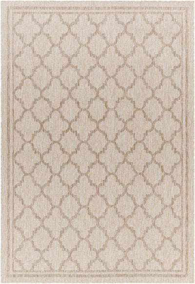 Noam Beige Indoor & Outdoor Rug - Clearance