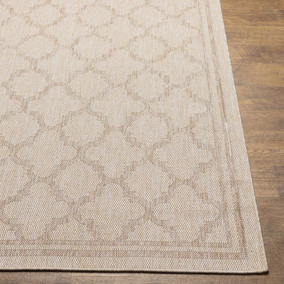 Noam Beige Indoor & Outdoor Rug - Clearance