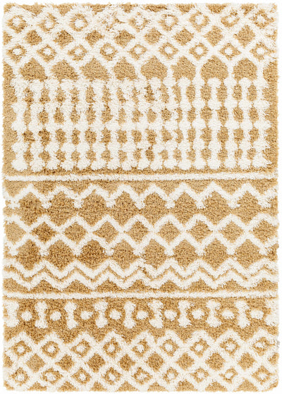 Evely Shag Area Rug