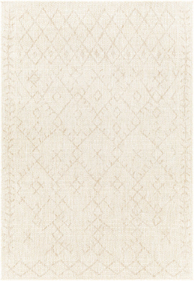 Ewarton Indoor & Outdoor Rug - Clearance