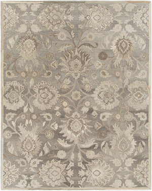 Conesus 1195 Hand Tufted Ivory & Taupe Wool Rug