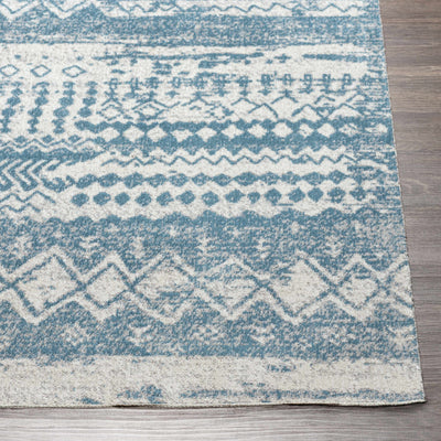 Fatsa Washable Area Rug - Clearance