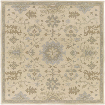 Hazen Hand Tufted Light Beige 1197 Area Rug