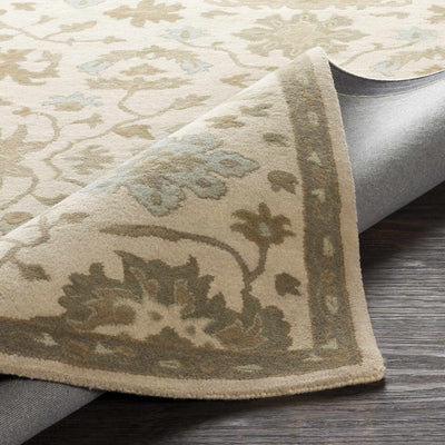 Hazen Hand Tufted Light Beige 1197 Area Rug