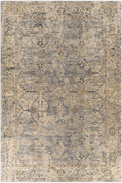 Aspengos Gray/Denim Area Rug