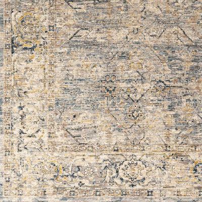 Aspengos Gray/Denim Area Rug