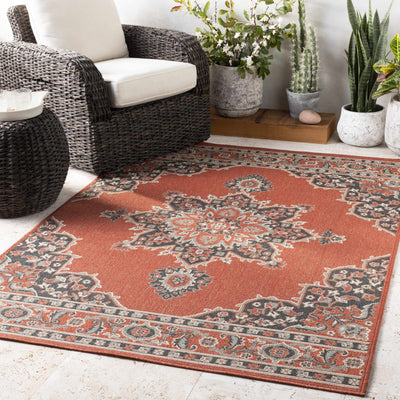 Garberville Area Rug - Clearance