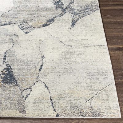 Gasquet Gray Marble Rug - Promo