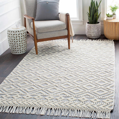 Glastonbury Gray&White Trellis Wool&Cotton Area Rug - Clearance