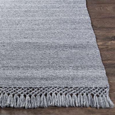 Eagletown Flatweave Performance Rug