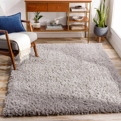 Siari Solid Medium Gray Shag Rug