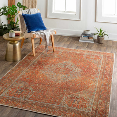 Guibodangan Washable Area Rug - Clearance