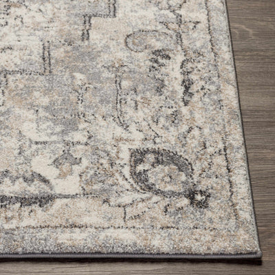 Hagdan Area Rug