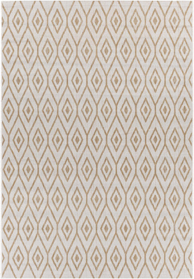 Hapton Indoor & Outdoor Rug - Clearance