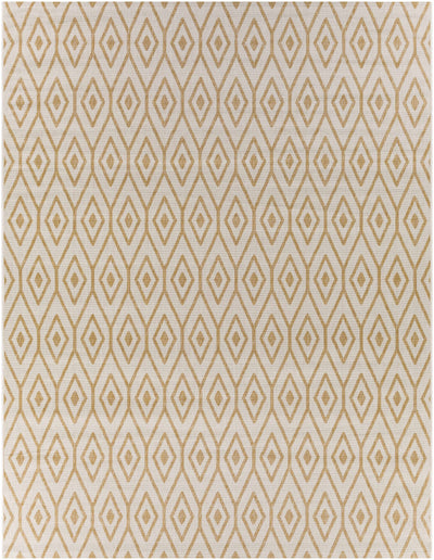 Hapton Indoor & Outdoor Rug - Clearance