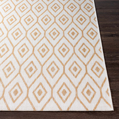 Hapton Indoor & Outdoor Rug - Clearance