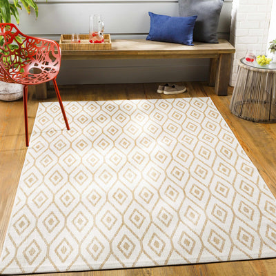 Hapton Indoor & Outdoor Rug - Clearance