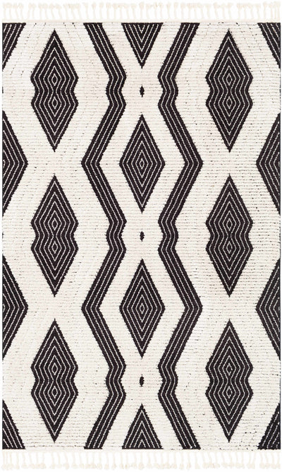 Hesperus High-Low Tasseled Area Rug