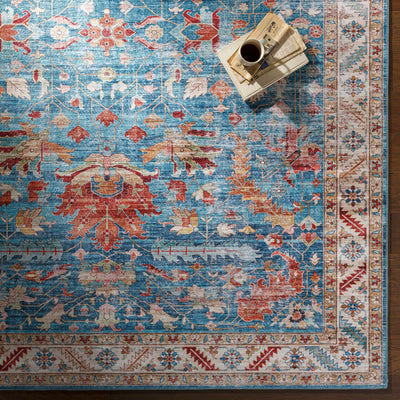 Lota Blue  Rug - Clearance