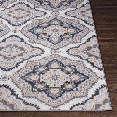 Hoopeston Area Rug - Clearance