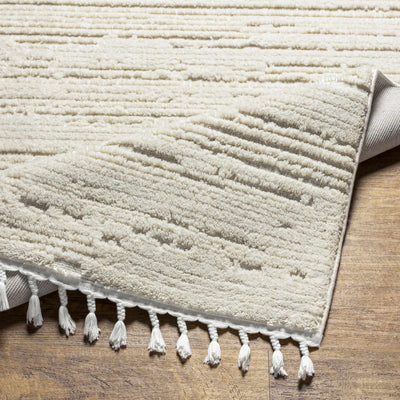 Ibarra Textured Ivory Area Rug with Tassels