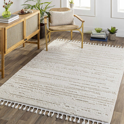 Ibarra Textured Ivory Area Rug with Tassels