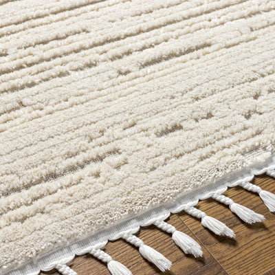 Ibarra Textured Ivory Area Rug with Tassels