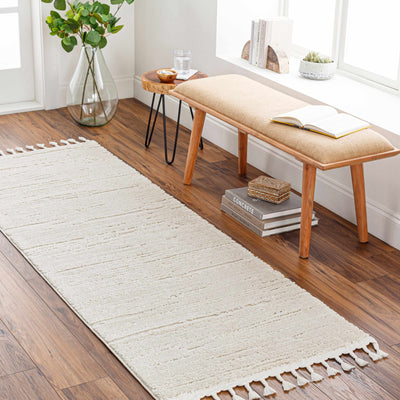 Ibarra Textured Ivory Area Rug with Tassels