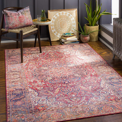 Ichon Area Rug - Clearance