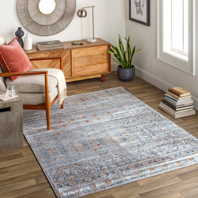 Ishpeming Distressed Persian Rug - Clearance