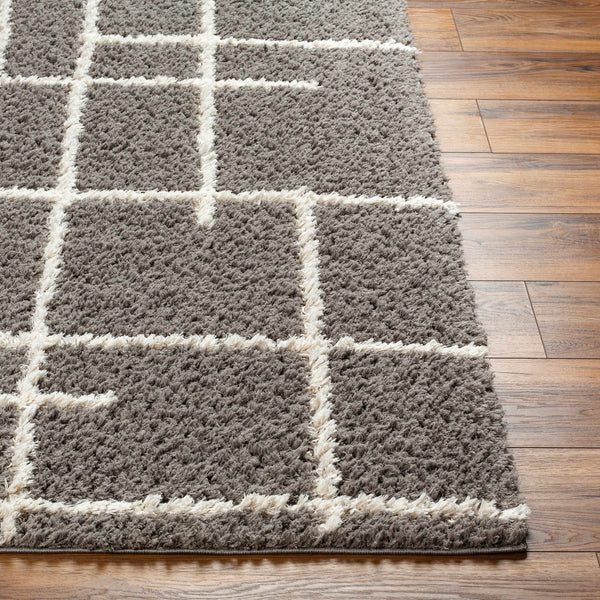 Isoke Area Rug