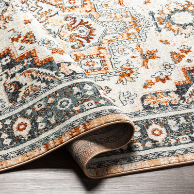 Jamabalod Area Rug - Clearance