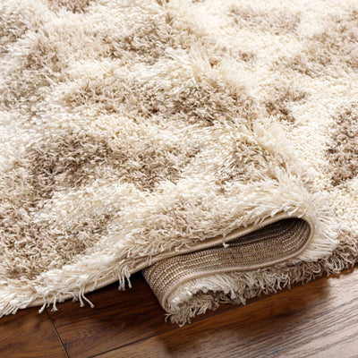 Jase Shag Area Rug