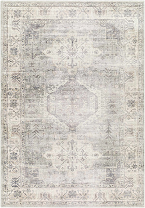 Jinan Area Rug