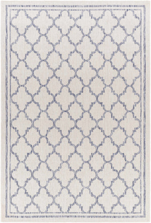 Noam Cream & Blue Indoor & Outdoor Rug - Clearance