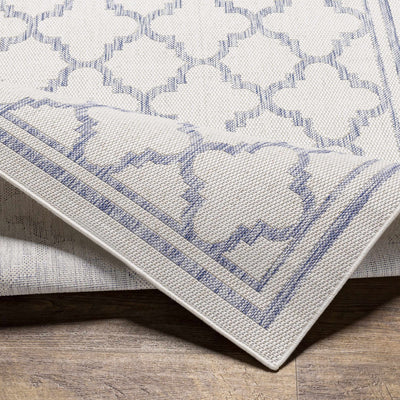 Noam Cream & Blue Indoor & Outdoor Rug - Clearance