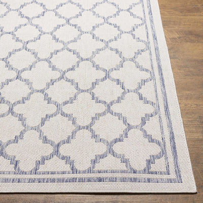 Noam Cream & Blue Indoor & Outdoor Rug - Clearance