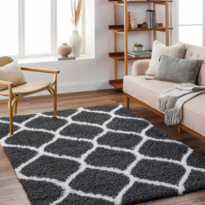 Jody Shag Area Rug