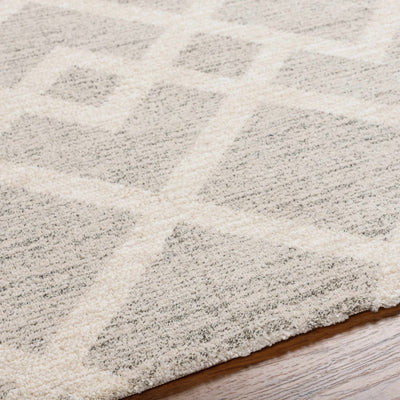 Joed Area Rug