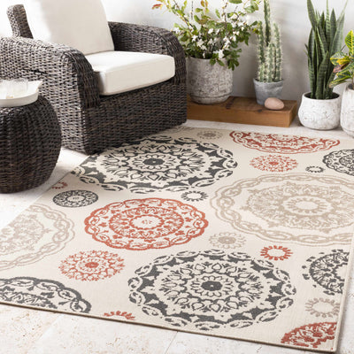 Juniata Area Rug - Clearance