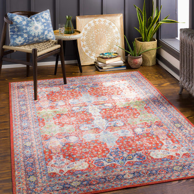 Kangundo Washable Area Rug - Clearance