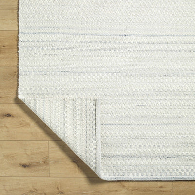 Kendi Area Rug