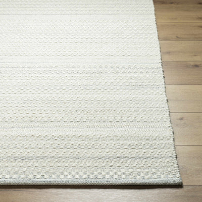 Kendi Area Rug